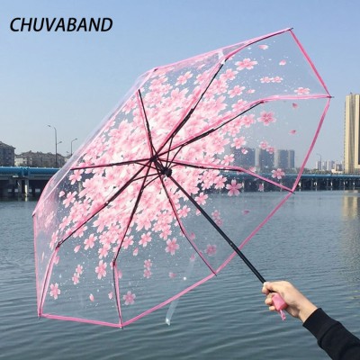 Transparent Sakura Blossom Umbrella |কোরিয়ান স্টাইল চেরি ব্লসম ছাতা